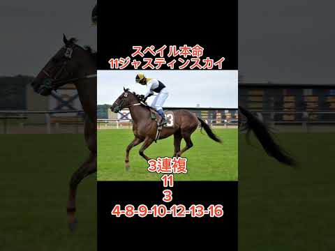 【函館スプリントS2024】最終予想！#競馬 #競馬予想 #本命 #買い目 #函館スプリントステークス #函館スプリントステークス2024