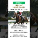 マーメイドS2024ー最終見解・予想ー #マーメイドs #マーメイドステークス #競馬予想 #推奨馬