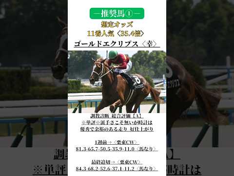 マーメイドS2024ー最終見解・予想ー #マーメイドs #マーメイドステークス #競馬予想 #推奨馬