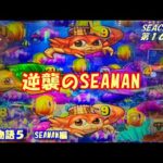 【大海物語５】実践パチンコSEACHA第16回逆襲のSEAMAN