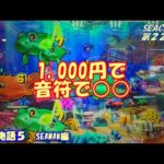 【大海物語５】実践パチンコSEACHA第22回1,000円で音符で○○