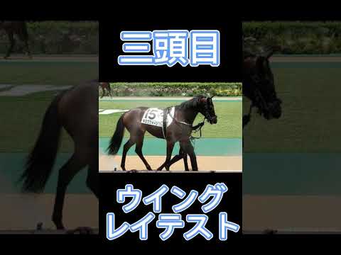 函館SS2024！期待の穴馬3頭！#shorts #競馬 #競馬予想 #中央競馬 #ウマ娘 #夏競馬