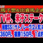 【 STV杯、米子ステークス 予想 】土曜日の競馬予想、出資馬企画！先週、函館スプリントステークス◎サトノレーヴ（2人気)単勝、複勝1点的中！明日の本命馬はこの馬だ！