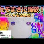 強欲ぶっ壊して来た♡【e Re:ゼロから始める異世界生活season2】わたしちゃんの推しパチ#148