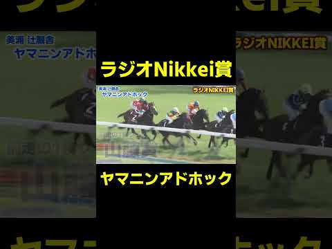 穴狙いならこの馬!! ヤマニンアドホック　#競馬 #競馬予想 #ラジオnikkei賞 #北九州記念