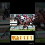 #競馬 #競馬予想 #函館スプリントステークス #函館スプリントs