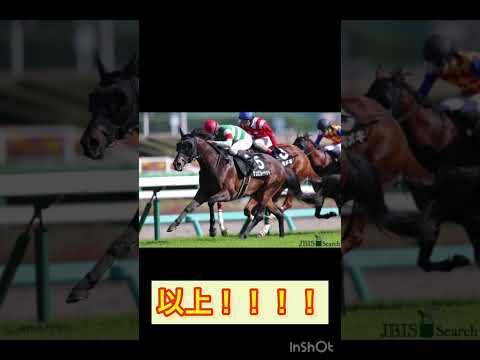 #競馬 #競馬予想 #函館スプリントステークス #函館スプリントs