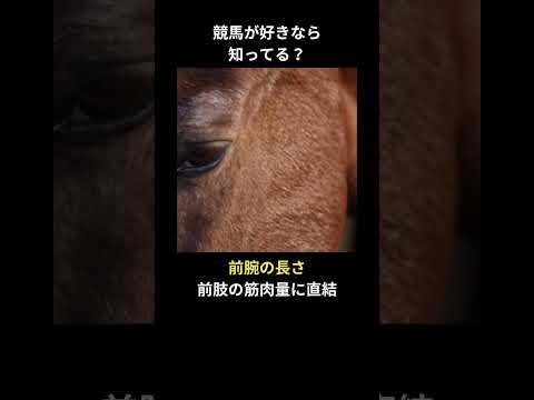 馬の能力の良し悪しを見極める方法 #競馬 #競馬予想 #shorts