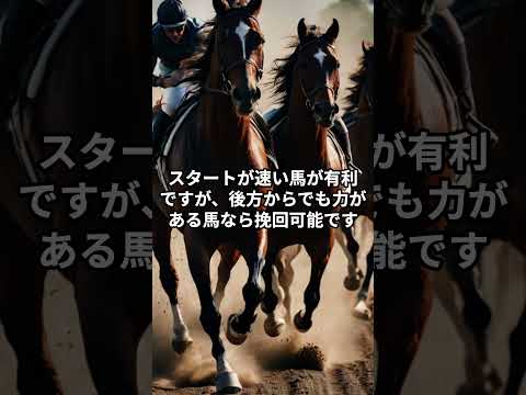 京都競馬場の特徴 #予想 #競馬予想