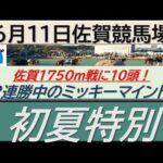 【競馬予想】初夏特別！～２０２４年６月１１日 川崎競馬場 ：６－１８