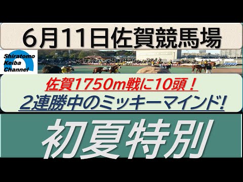 【競馬予想】初夏特別！～２０２４年６月１１日 川崎競馬場 ：６－１８