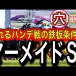 【マーメイドステークス競馬予想】エーデルブルーメは買える？