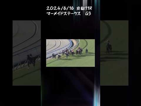 マーメイドステークス　もちおの当たらない予想 #競馬 #競馬予想 #マーメイドステークス