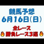 【競馬予想】６月１６日（日）全レース予想／厳選３レース(平場予想・重賞予想)