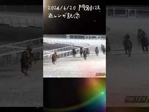 赤レンガ記念　もちおの当たらない予想 #競馬 #競馬予想 #赤レンガ記念