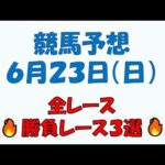 【競馬予想】６月２２日（日）全レース予想／厳選３レース(平場予想・重賞予想)