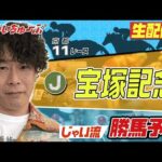 【競馬】宝塚記念でのじゃいの予想【勝ち馬予想】