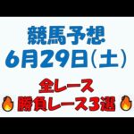 【競馬予想】６月２９日（土）全レース予想／厳選３レース(平場予想・重賞予想)