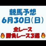 【競馬予想】６月３０日（日）全レース予想／厳選３レース(平場予想・重賞予想)