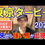 東京ダービー２０２４【大井競馬予想】１強も３頭目は紛れにも注意！？