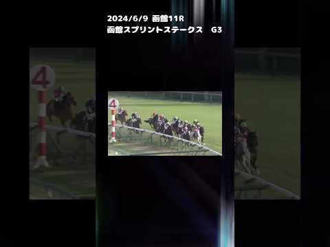 函館スプリントステークス　もちおの当たらない予想 #競馬 #競馬予想 #函館スプリントステークス