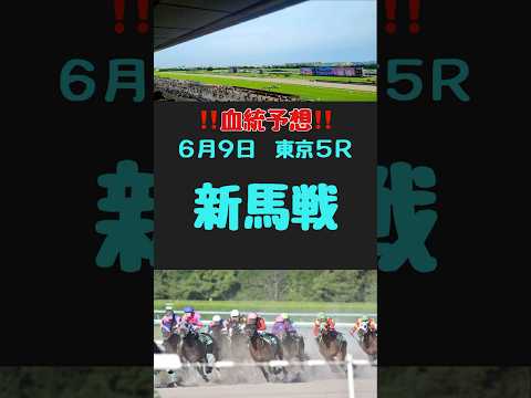 #競馬 #競馬予想 #血統 #血統予想#新馬戦