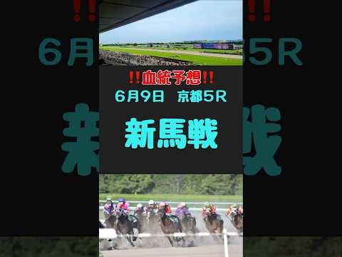 #競馬 #競馬予想 #血統 #血統予想#新馬戦