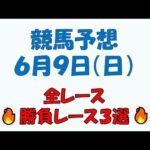 【競馬予想】６月９日（日）全レース予想／厳選３レース(平場予想・重賞予想)