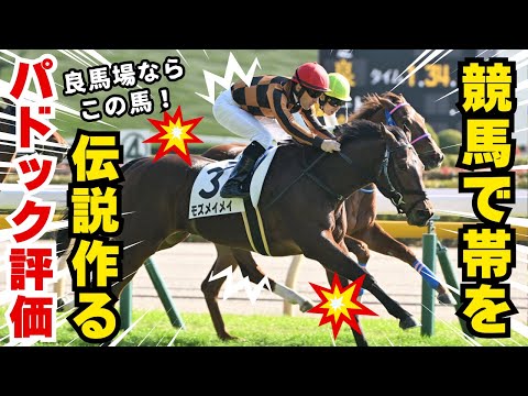 【競馬予想&大勝負】千直で1点100万円の特大人生賭けた大勝負！！ #アイビスサマーダッシュ #競馬