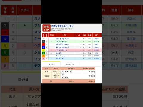 ひまわり賞を予想します #競馬 #予想 #競馬予想 #買い目 #ひまわり賞 #船橋11r #船橋競馬 #船橋競馬場 ＃地方競馬 #メインレース #南関東競馬