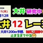 【大井競馬研究中😏】大井1200m予想 軸馬2連勝中!!  止まるまでやってやる😤【2024.7.11 大井12R C2二三四 (C2三)】