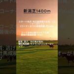 【競馬豆知識】新潟競馬場芝1400mコースの特徴を解説！ #競馬 #新潟競馬場 #競馬予想 #血統 #傾向