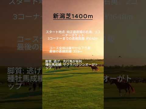 【競馬豆知識】新潟競馬場芝1400mコースの特徴を解説！ #競馬 #新潟競馬場 #競馬予想 #血統 #傾向