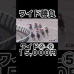 【競馬】馬券勝負！ワイド15,000円買ってみた！#競馬 #競馬予想