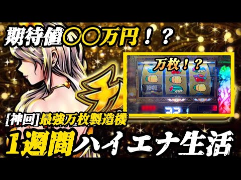 【検証】1週間ハイエナ生活　Lチバリヨ2編