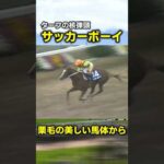 伝説の函館記念 サッカーボーイ　#競馬 #競馬予想 #函館記念 #函館2歳ステークス #函館競馬