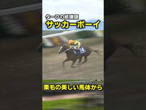 伝説の函館記念 サッカーボーイ　#競馬 #競馬予想 #函館記念 #函館2歳ステークス #函館競馬