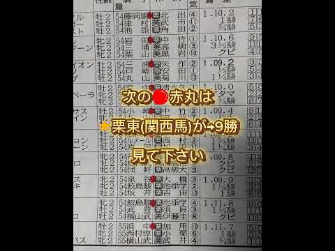 【函館2歳ステークス】#競馬予想