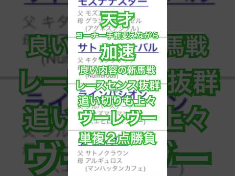 函館2歳ステークス 2024 予想 #競馬予想