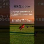 【競馬豆知識】新潟競馬場芝2000mコースの特徴を解説！ #競馬 #新潟競馬場 #競馬予想 #血統 #血統 #新潟大賞典 #新潟記念