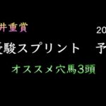 【競馬予想】　大井重賞　優駿スプリント　2024  予想