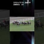 函館記念2024 もちおの当たらない予想 #競馬 #競馬予想 #函館記念