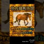 【簡易版】2024名古屋競馬　天の川特別予想