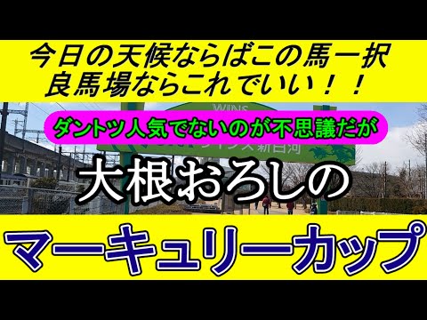 マーキュリーカップ2024のデータから導き出した最終予想【競馬予想】