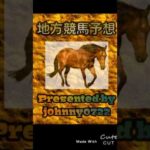 【簡易版】2024盛岡競馬　いしがきマイラーズ予想