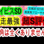 【競馬予想】アイビスサマーダッシュ2024　新潟千直は〇〇な馬を買え！　穴馬は道悪で馬場が悪くなるダート馬がアツい！！