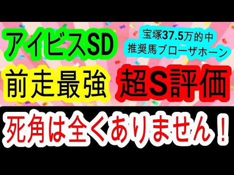 【競馬予想】アイビスサマーダッシュ2024　新潟千直は〇〇な馬を買え！　穴馬は道悪で馬場が悪くなるダート馬がアツい！！