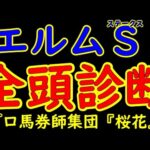 エルムステークス2024一週前レース予想全頭診断！今週はダート重賞がメインの競馬となり古馬混合ダート重賞で秋へ繋げたい馬は？