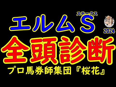 エルムステークス2024一週前レース予想全頭診断！今週はダート重賞がメインの競馬となり古馬混合ダート重賞で秋へ繋げたい馬は？