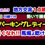 【最終結論😤】地方交流一点勝負＋地方チャレンジ枠😤　暑くなれ!! 馬場よ乾け!!【2024.7.3 川崎11R スパーキングレディーC (Jpn3)】